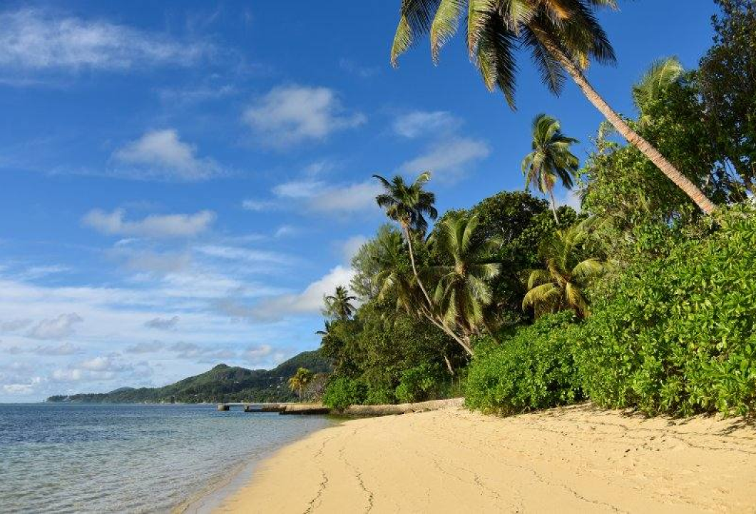 Seyşeller Mahe Adasında Alışveriş