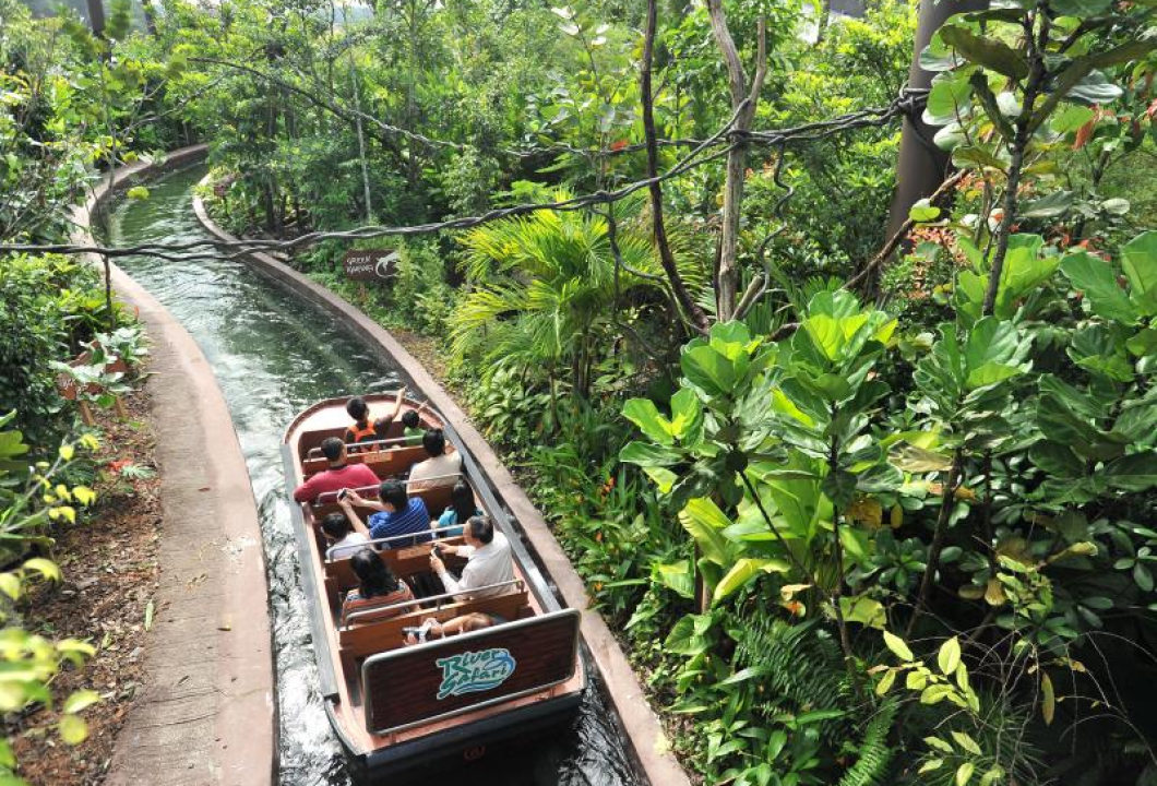 Renkli şehir Singapur