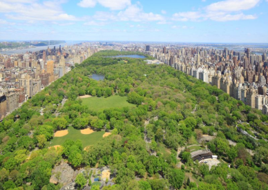 New York Bisiklet Turu