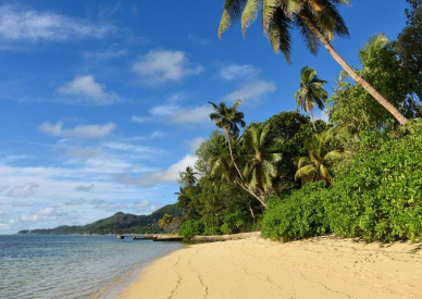 Seyşeller Mahe Adasında Alışveriş