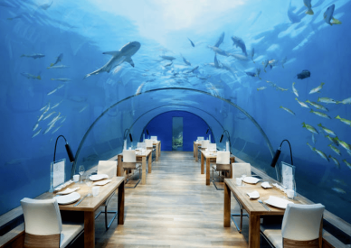 Conrad Resort Maldivler