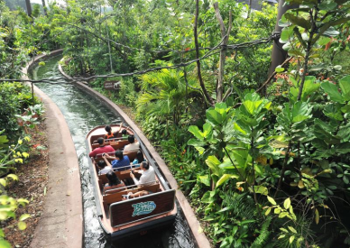 Renkli şehir Singapur