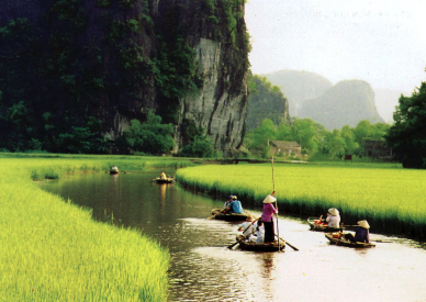 Uzakdoğu Yemekleri Vietnam Mutfağı