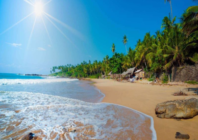 Doğallıklar Ülkesi Sri Lanka