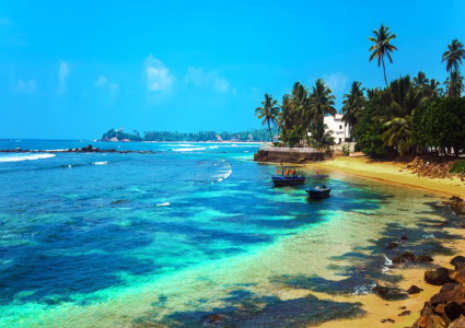 Sri Lanka Deniz ve Kültür Turu